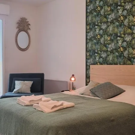 公寓 Grand Avec Terrasse Et Parking - Vieux- - Blaise *